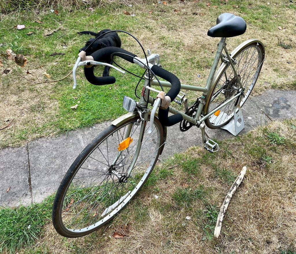 zenith bike insurance phone number